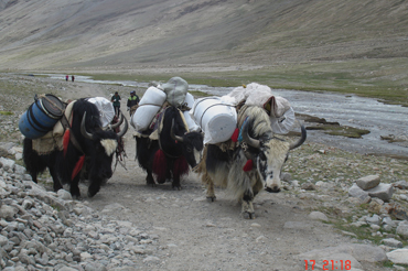 Kailash & Manasarovar