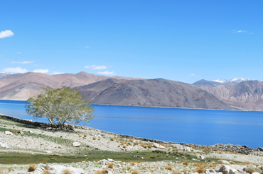 Ladakh