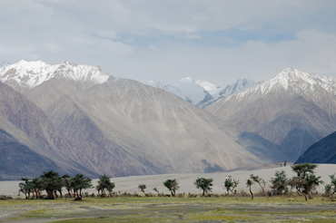 Ladakh