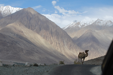 Ladakh